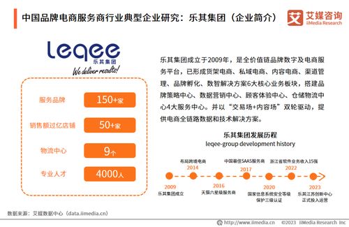 2023年中國品牌電商服務(wù)商行業(yè)研究報(bào)告 社會經(jīng)濟(jì)咨詢服務(wù)洞察