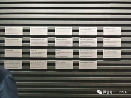 協(xié)會(huì)赴微軟公司開展數(shù)字化前沿技術(shù)交流活動(dòng)